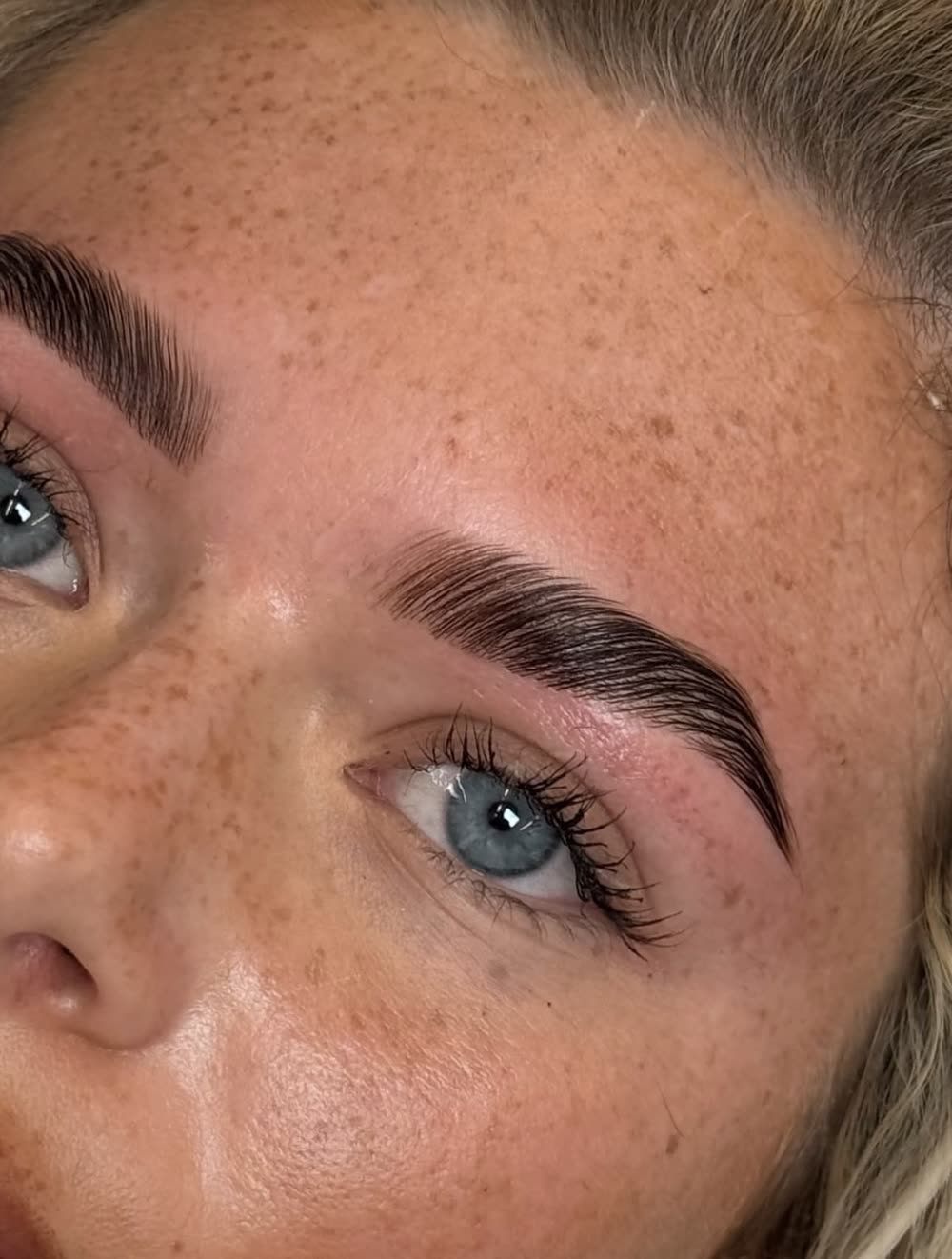Close-up of a freshly laminated brow